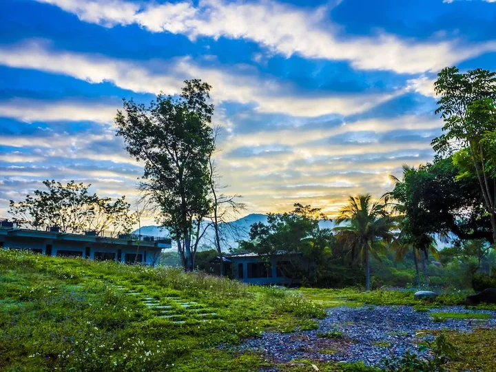 Open garden, palms and buildings beneath patterned clouds