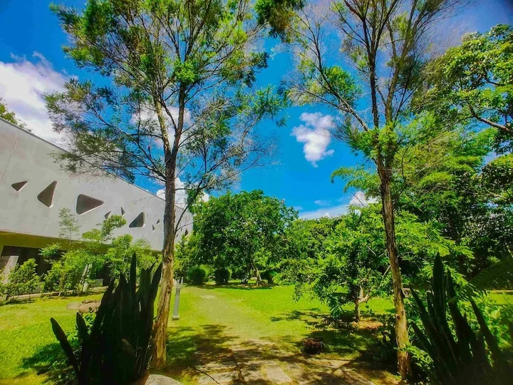 Trees and a path beside the white wellness center