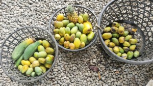 20210618_100952-edited